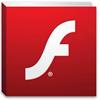 Flash Media Player